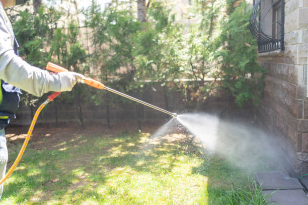 Best Pest Control Treatment  in Mendota, IL